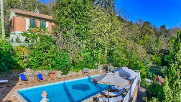 A swimming pool with lounge chairs and umbrellas, surrounded by trees and a stone wall. - Holiday Home in Sassetta Near Beaches (Castagneto Carducci)