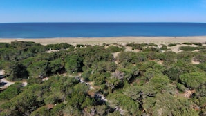 A coastal landscape with dense vegetation in the foreground and a sandy beach extending to the ocean. - Holiday Home in Sassetta Near Beaches (Castagneto Carducci)