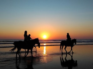 บ้านพัก | ชายหาด