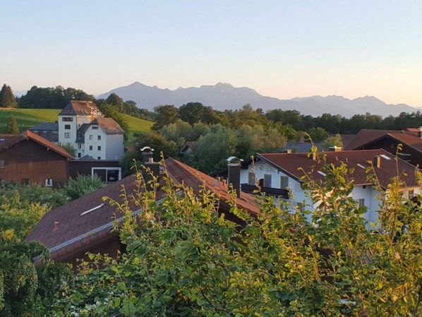A residential area with houses and a mountain range in the background.