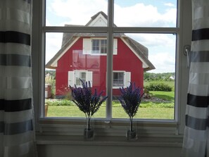 View from property - Holiday Home Aunt Emma (Zierow)