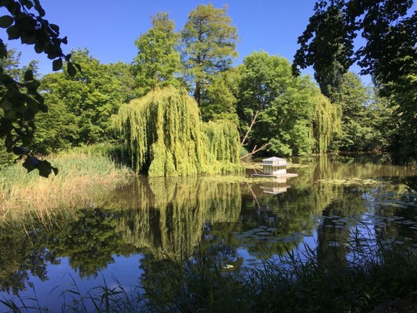 Escape to a serene lakeside haven surrounded by lush greenery and a majestic weeping willow tree.