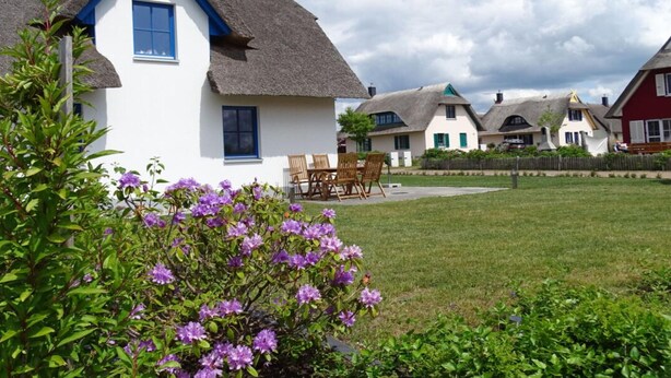 A row of traditional houses with thatched roofs and white walls, a grassy yard, and purple flowers in the foreground. - Holiday Home Aunt Emma (Zierow)