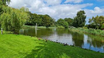A serene park with a pond, ducks, and a fountain.