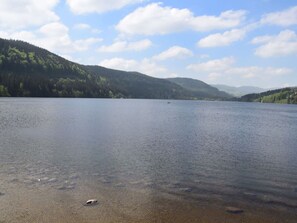 A calm lake with clear water, surrounded by forested hills and a partly cloudy sky. - Huis Rieslehof Appartement 12 (Titisee-Neustadt)