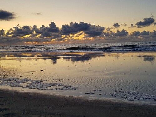 "de Zeehond" Strandslag