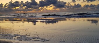 "de Zeehond" Strandslag