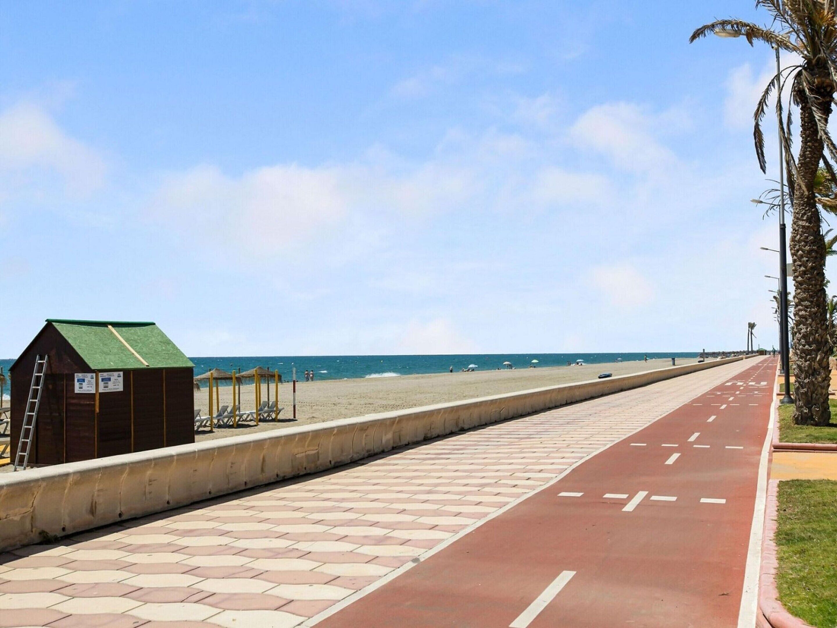 A beach promenade with a red bike lane, a small wooden structure, and a palm tree.