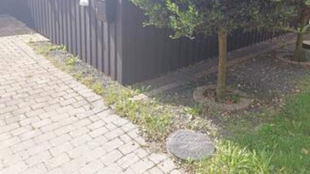 Asfaltoitu kävelytie metalliaidan vieressä, lähellä on pieni puu ja viemärin kansi.
