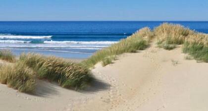 Coastal Comfort in De Haan