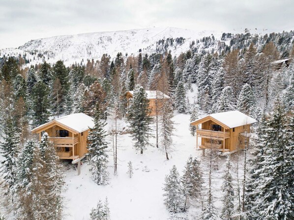 Chalet | Exterior - Natural Chalet With Whirlpool (Stadl-Predlitz)