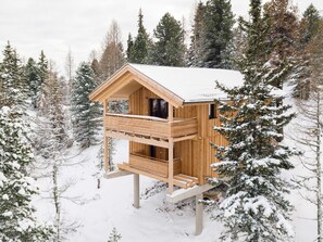 Exterior - Natural Chalet With Whirlpool (Stadl-Predlitz)