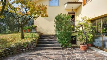 A stone-paved entrance with steps leading to a door, surrounded by potted plants and a tree with autumn leaves.
