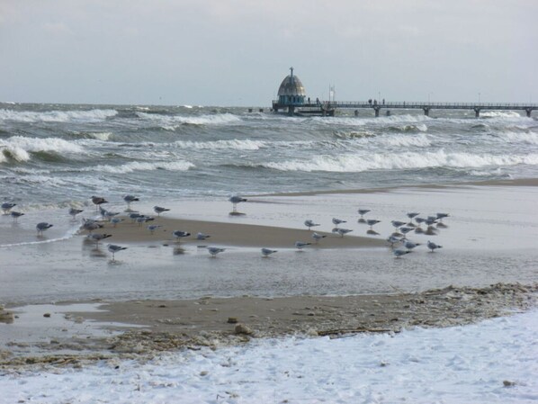 Beach - Holiday Apartment Island Nest (Zinnowitz)