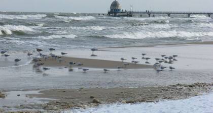 Holiday Apartment Island Nest