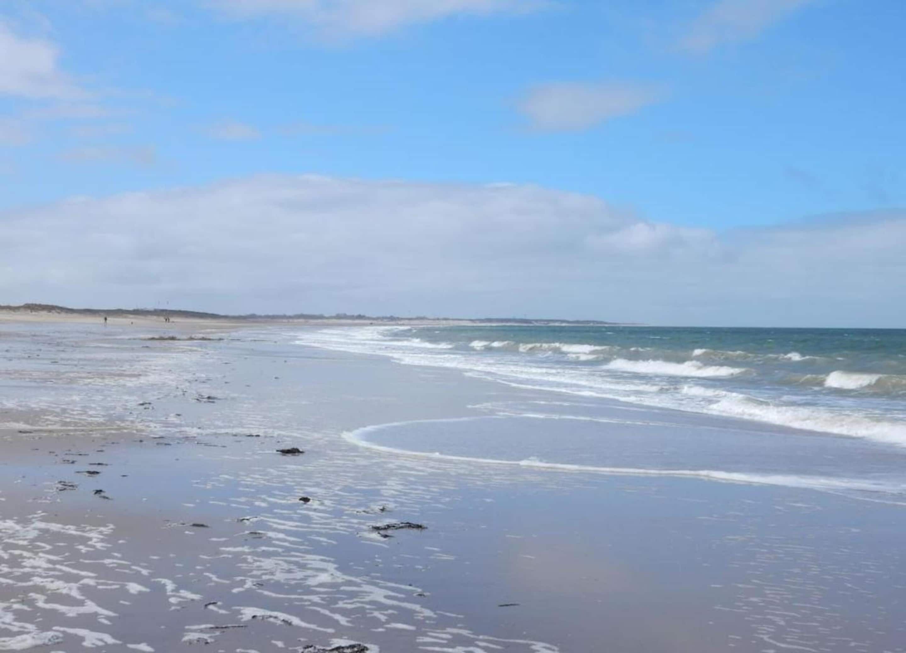 A beach with waves, a clear sky, and distant land.