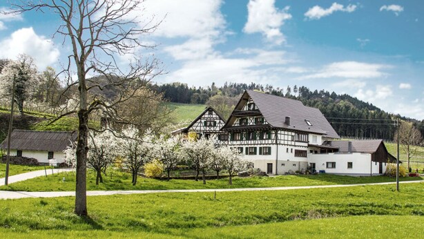 A traditional half-timbered house with a sloped roof, surrounded by a green field and trees, with a clear sky above. - Apartment in Oberkirch (Oberkirch)