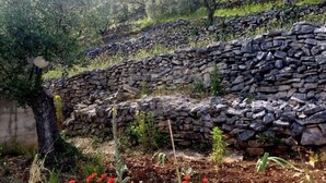 A stone wall with a garden in front, surrounded by trees and vegetation.