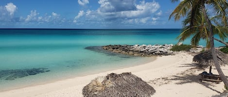 Serviettes de plage