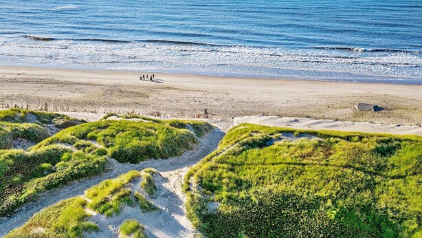 A beach with a clear view of the ocean and a sandy path leading to the water. - 4 Star Holiday Home in Ulfborg (Ulfborg)