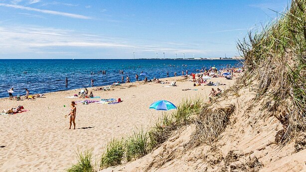 House | Beach - 8 Person Holiday Home in Falkenberg (Falkenberg)