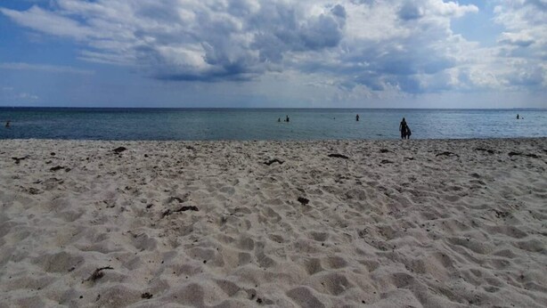A sandy beach with a clear view of the ocean and a partly cloudy sky. - 4 Star Holiday Home in Sydals (Sydals)