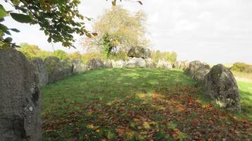 House | Property grounds