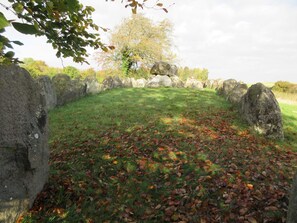 独立别墅 | 住宿场地