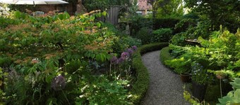 Dollhouse Modern Retreat