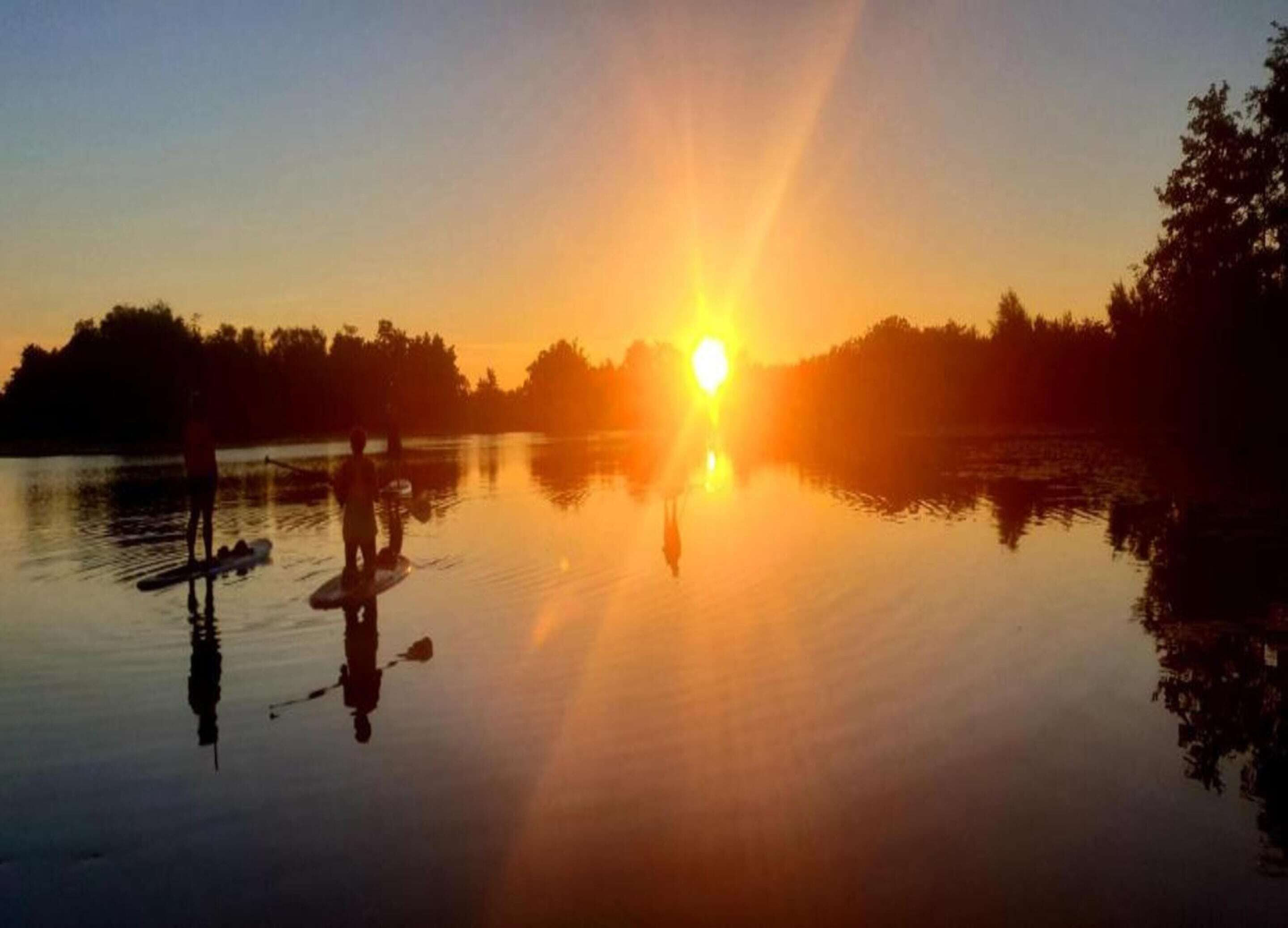 A sunset over a calm body of water with paddleboards.