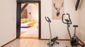 A room with two stationary bikes, a wooden floor, a stone wall, and a couch in the background. - Pet Friendly Villa in Elsenborn (Buetgenbach)