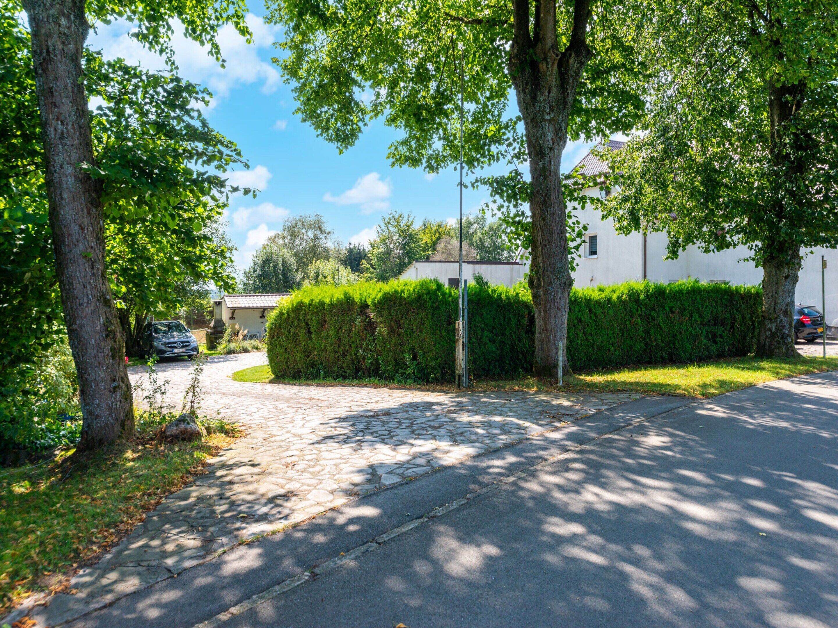 A paved driveway leading to a building with a white exterior, surrounded by trees and a hedge.