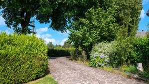 A stone pathway in a park with lush greenery and trees. - Pet Friendly Villa in Elsenborn (Buetgenbach)