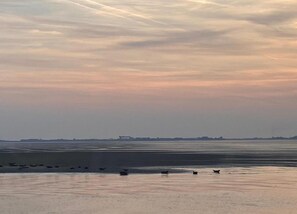 Casa | Vistas desde el alojamiento