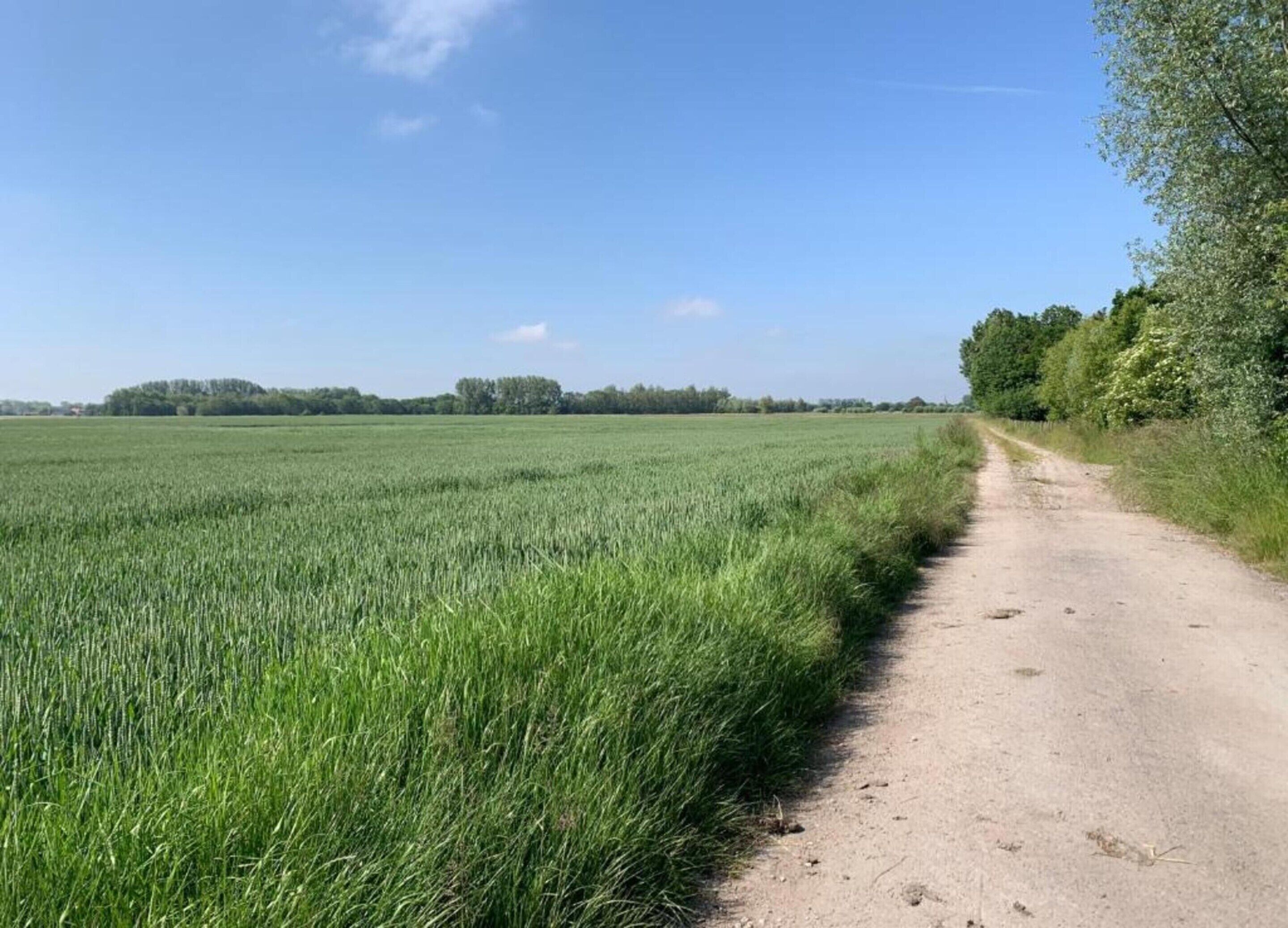 住宿景觀