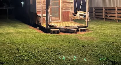 Tiny house on 50+ acre farm. Easy drive to Covington square and more!