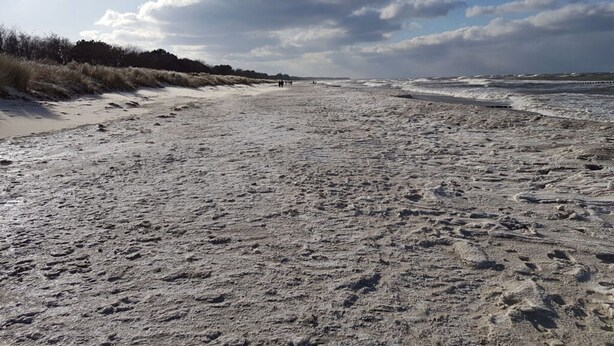 A wide sandy beach with footprints and a grassy dune on the left. - Bernsteinfinder 4.17 Comfortable Holiday Residence (Zingst)