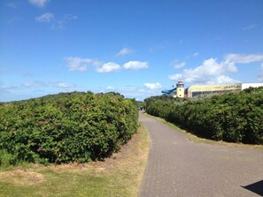 A paved path flanked by dense green shrubbery and a building with a distinctive yellow and blue structure in the background.