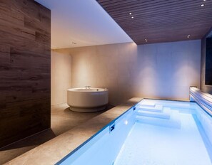 A modern bathroom with a freestanding bathtub, a glass-enclosed hot tub, and wooden paneling on the walls. - Veluwe Villa Wellness (Wekerom)