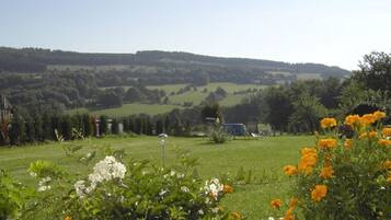 Apartment | 1 Schlafzimmer, individuell eingerichtet, BĂŒgeleisen/BĂŒgelbrett