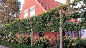 House | Exterior - Holiday Home in Donkerbroek Near Forest Trails (Donkerbroek)