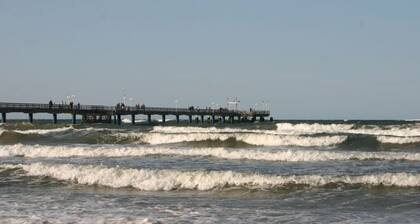 Seeschwalbe in Villa Sirene, Binz