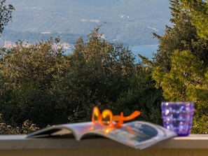 Une vue sur un paysage montagneux, avec des arbres et une étendue d'eau au loin.