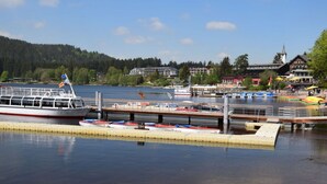 A waterfront dock with a ferry, boats, and a pier with a building in the background. - Huis Rieslehof Vakantiewoning 11 (Titisee-Neustadt)