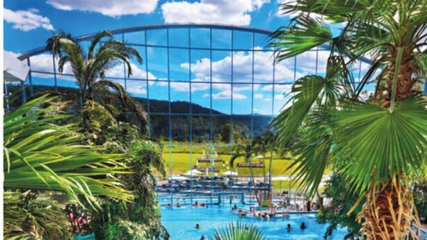 A large indoor swimming pool surrounded by palm trees and lounge chairs. - Huis Rieslehof Vakantiewoning 11 (Titisee-Neustadt)