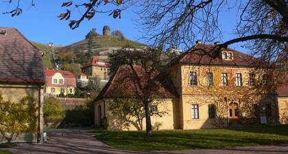 Charming Apartment in Radebeul