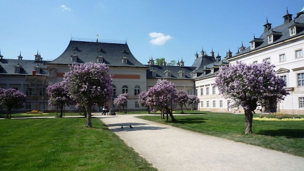 Een historisch gebouw met een centrale binnenplaats, omringd door bomen met paarse bloemen.