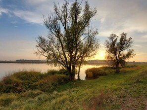 A serene lakeside scene with trees and a clear sky. - Achternkieker Comfortable Holiday Residence (Zinnowitz)