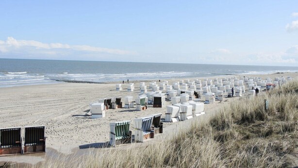 En strand med rader av vita strandstolar och parasoller, en sandstrand och havet i bakgrunden.