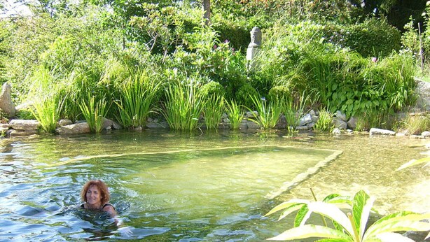 Une personne nage dans un étang aux eaux claires, entouré d’une végétation luxuriante et de rochers.